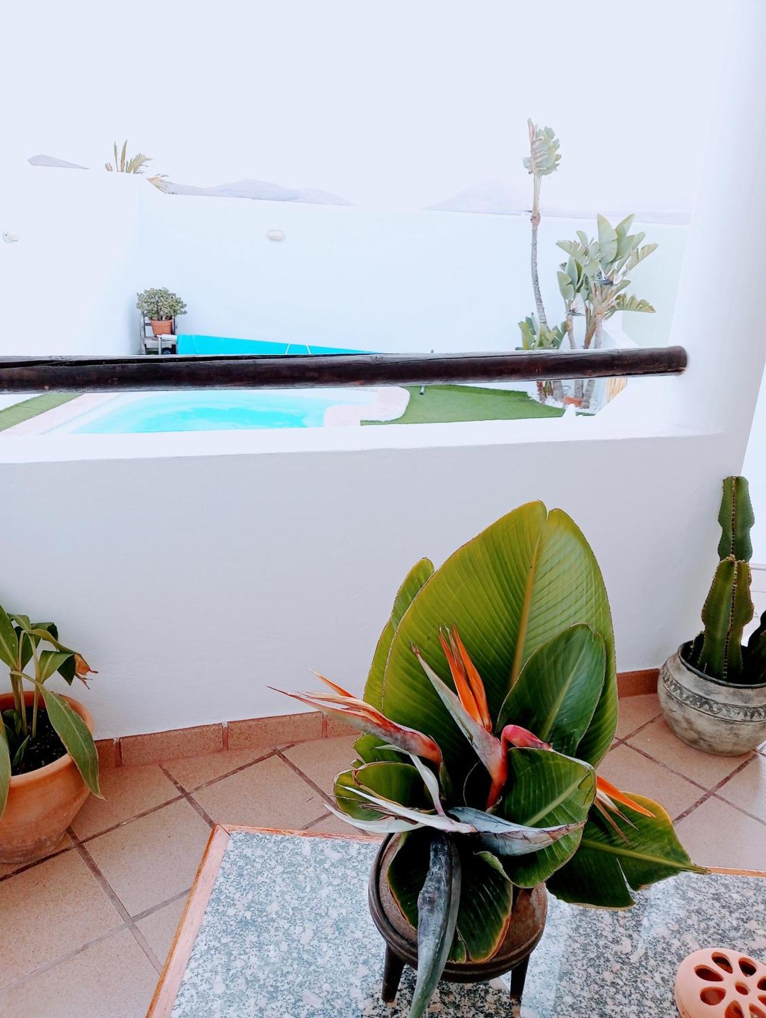 Casa Strelitzia Villa Nazaret Exteriör bild