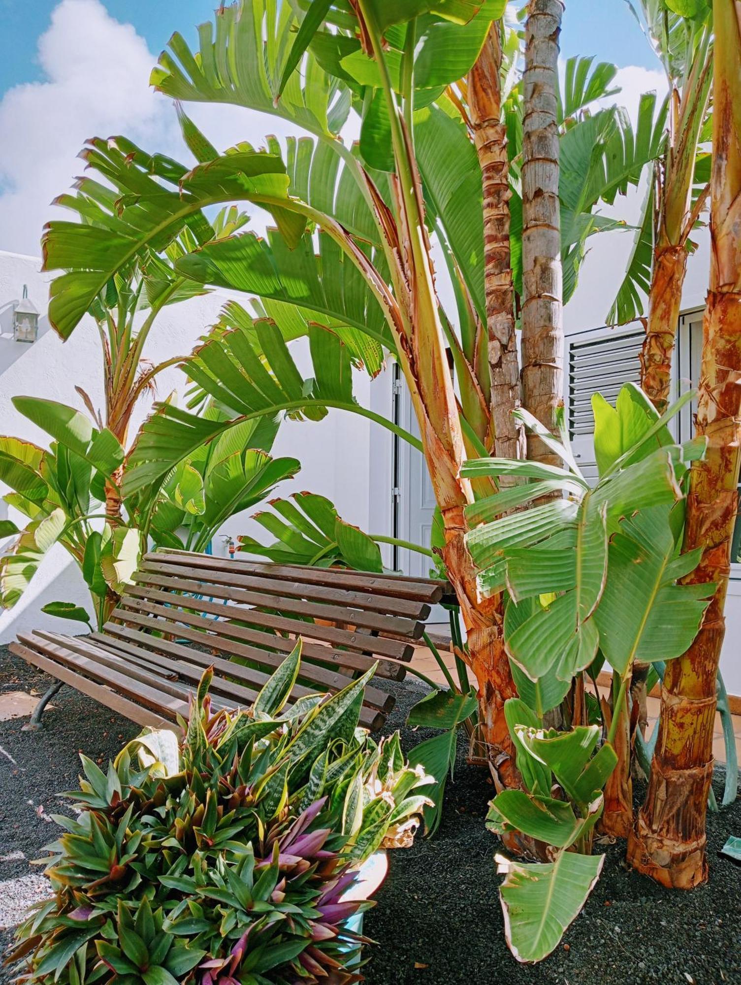 Casa Strelitzia Villa Nazaret Exteriör bild