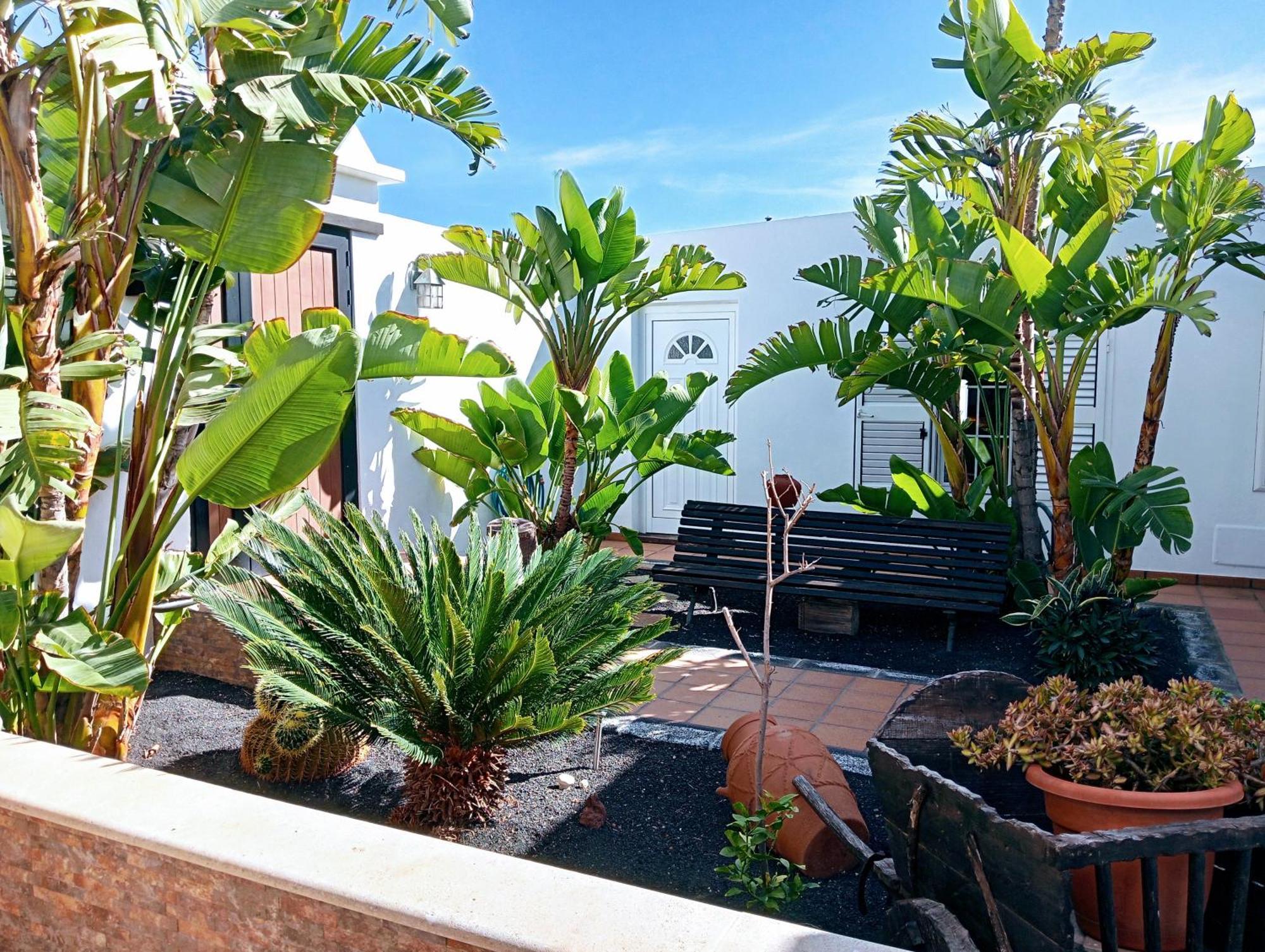 Casa Strelitzia Villa Nazaret Exteriör bild